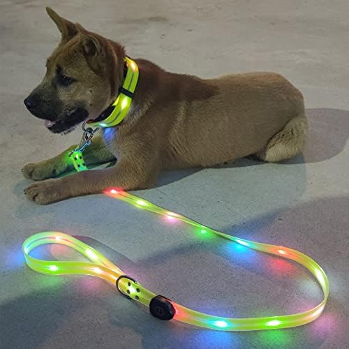 Нежна каишка за кучета с осветление за нощни разходки, Каишки за кучета с подсветка, Акумулаторна батерия Водоустойчив